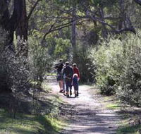 Syd's Rapids and Aboriginal Heritage Trail Avon Valley - Surfers Paradise Gold Coast