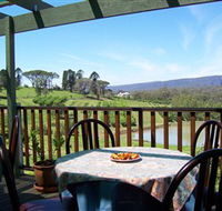 Enniskillen Orchard - Surfers Paradise Gold Coast