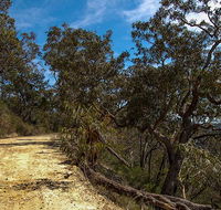 Parr State Conservation Area - Surfers Paradise Gold Coast