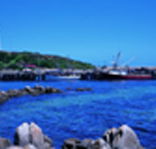 King Island Dairies - Surfers Paradise Gold Coast