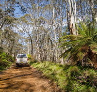 Barrington trail - Surfers Paradise Gold Coast