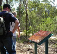 Finchley cultural walk - Surfers Paradise Gold Coast