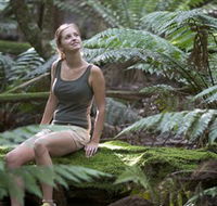 Barrington Tops National Park - Honeysuckle Forest Track - Surfers Paradise Gold Coast