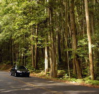 Greater Blue Mountains drive - Surfers Paradise Gold Coast