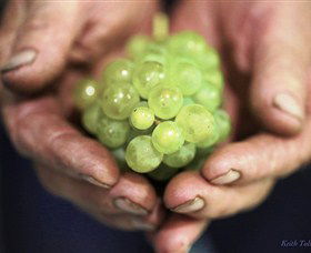 Keith Tulloch Wine - Surfers Paradise Gold Coast 1