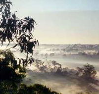 Bents Basin State Conservation Area - Surfers Paradise Gold Coast