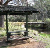 Barrington Tops State Forest - Surfers Paradise Gold Coast