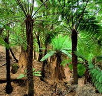 Pegarah Private Nature Reserve  Parenna Place - Surfers Paradise Gold Coast