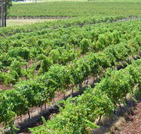 Pokolbin Brothers Wines Hunter Valley - Surfers Paradise Gold Coast