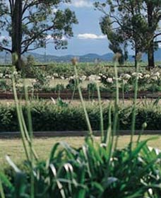 Vinden Estate Wines - Surfers Paradise Gold Coast 1