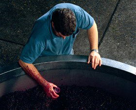 Calais Estate Wines - Surfers Paradise Gold Coast 2
