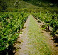 Gartelmann Wines - Surfers Paradise Gold Coast