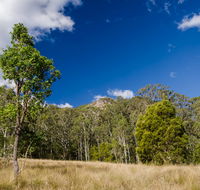 Brush Turkey track - Surfers Paradise Gold Coast