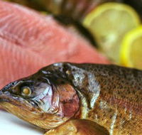 Lovedale Smokehouse Gourmet Pantry Cafe and Masterclasses - Surfers Paradise Gold Coast