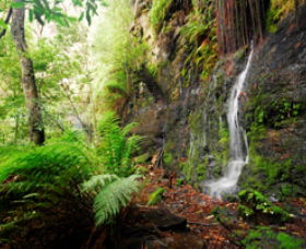 Fairy Bower Falls - Surfers Paradise Gold Coast 0