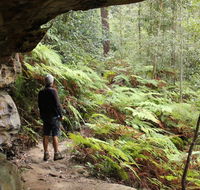 Dharug National Park - Surfers Paradise Gold Coast