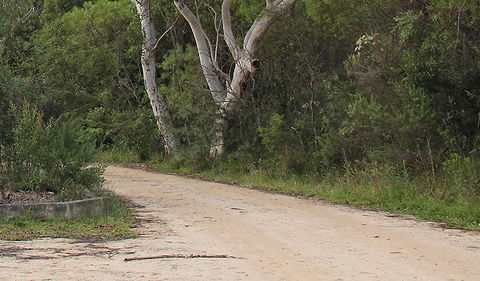Riverview Walking Track - Surfers Paradise Gold Coast 0