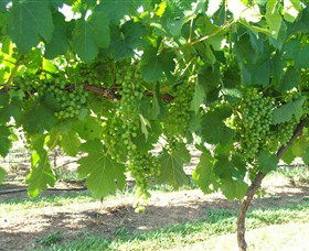 Razorback Ridge Wines - Surfers Paradise Gold Coast 2