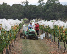 Razorback Ridge Wines - Surfers Paradise Gold Coast 7