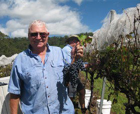 Razorback Ridge Wines - Surfers Paradise Gold Coast 8