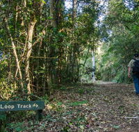 Basin Loop track - Surfers Paradise Gold Coast