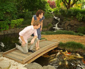 Japanese Gardens And Teahouse Campbelltown - Surfers Paradise Gold Coast 1