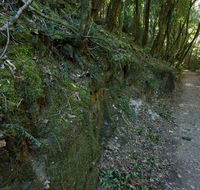 Hidden Treasure track - Surfers Paradise Gold Coast