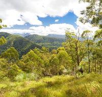 Toonumbar National Park - Surfers Paradise Gold Coast
