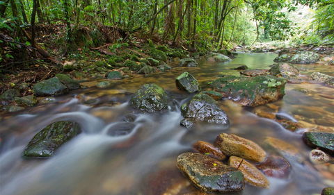Toonumbar National Park - Surfers Paradise Gold Coast 1