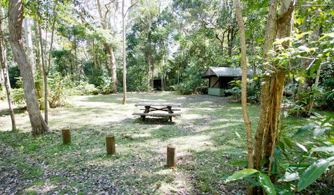 Toonumbar National Park - Surfers Paradise Gold Coast 3