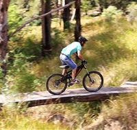 The Steps Mountain Bike Park - Surfers Paradise Gold Coast