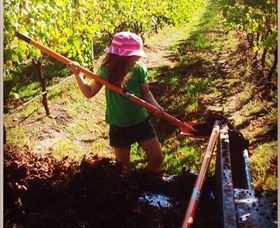 East Gippsland Wines - Surfers Paradise Gold Coast 5