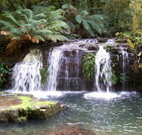 Barrington Tops National Park Walks - Surfers Paradise Gold Coast