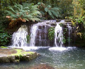Barrington Tops National Park Walks - Surfers Paradise Gold Coast 0