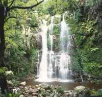 Budderoo National Park - The Falls Walk - Surfers Paradise Gold Coast