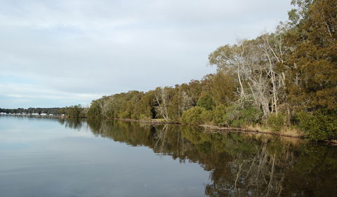 Lake Macquarie State Conservation Area - Surfers Paradise Gold Coast 0