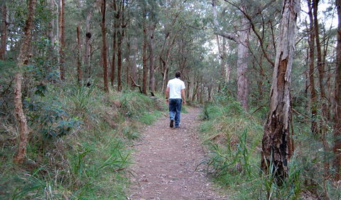 Lake Macquarie State Conservation Area - Surfers Paradise Gold Coast 3