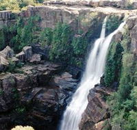 Minnamurra Rainforest Centre Budderoo National Park - Surfers Paradise Gold Coast