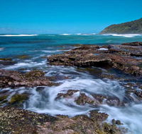 Wyrrabalong National Park - Surfers Paradise Gold Coast