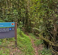 Red Cedar loop - Surfers Paradise Gold Coast