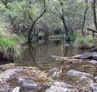 Homeleigh - Surfers Paradise Gold Coast