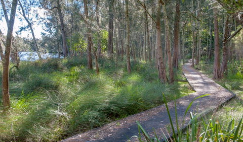 Anabranch Loop Track - Surfers Paradise Gold Coast 3