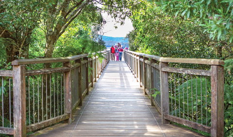Skywalk Lookout - Surfers Paradise Gold Coast 0