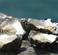 Jim Wilds Oyster Service - Surfers Paradise Gold Coast