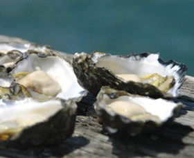 Jim Wilds Oyster Service - Surfers Paradise Gold Coast 0