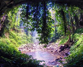 Dorrigo Rainforest Centre - Surfers Paradise Gold Coast 1