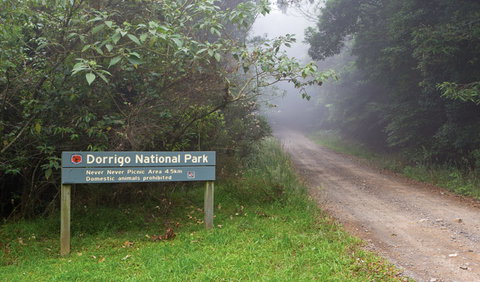 Never Never Picnic Area - Surfers Paradise Gold Coast 3