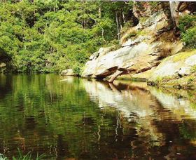 Numinbah Valley Adventure Trails - Surfers Paradise Gold Coast 1