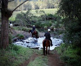 Numinbah Valley Adventure Trails - Surfers Paradise Gold Coast 3