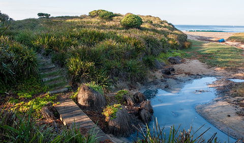 Richmond Beach - Surfers Paradise Gold Coast 1